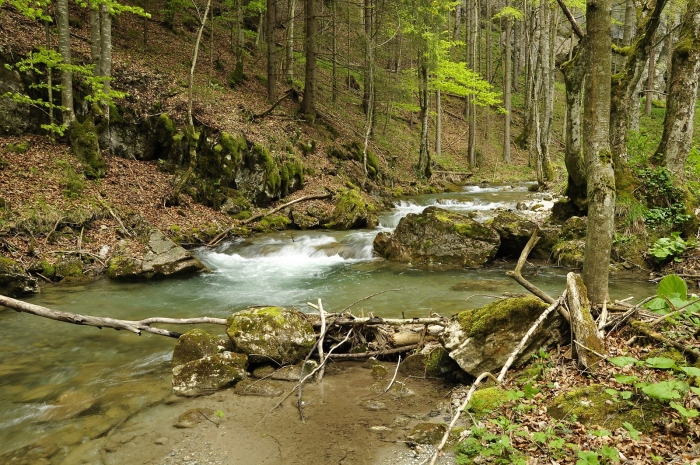 Potok v Gáderu 3.5.2014